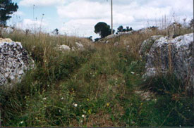 Caratteri originali della campagna melpignanese: l'antica via carrareccia tra Melpignano e Maglie.